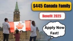 $445 Canada Family Benefit 2025 – New Payment Dates & Application Process Confirmed by CRA