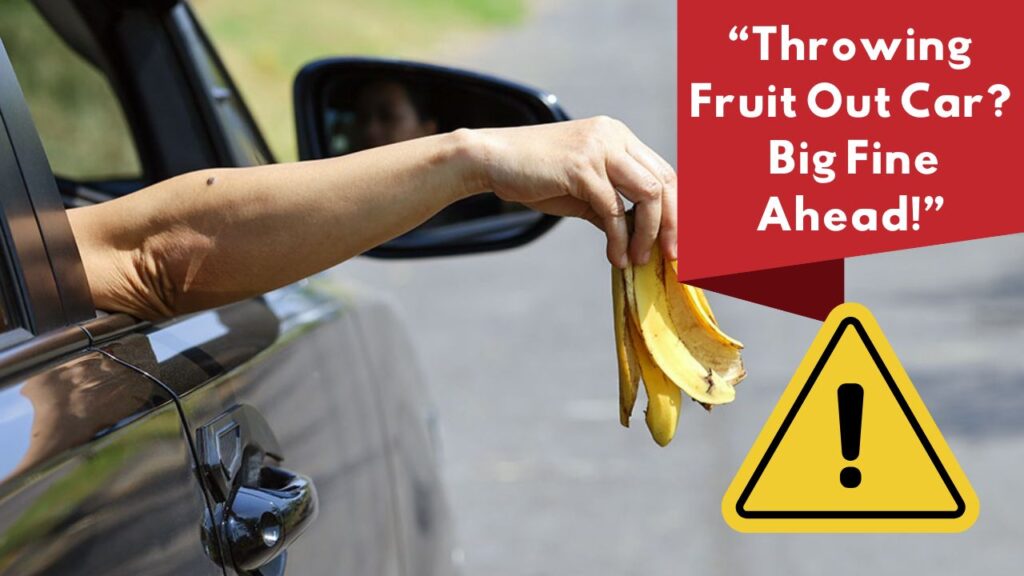 Australian Traffic Rules