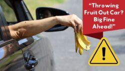 Can We Throw Apple Cores or Banana Peels Out of a Car Window Under Australian Traffic Rules – The Answer Shocks Drivers