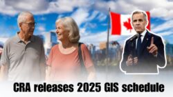 Canada GIS Payment Schedule 2025 – Seniors Can Now See Full Amounts and Deposit Dates