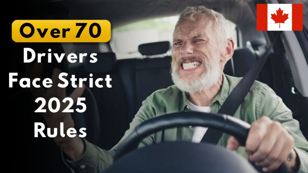 Canada Driving Law
