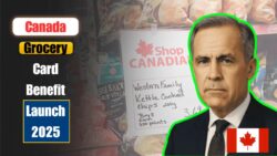 Canada Grocery Card Program 2025 – CRA to Roll Out New Benefit in October, Check Eligibility Now