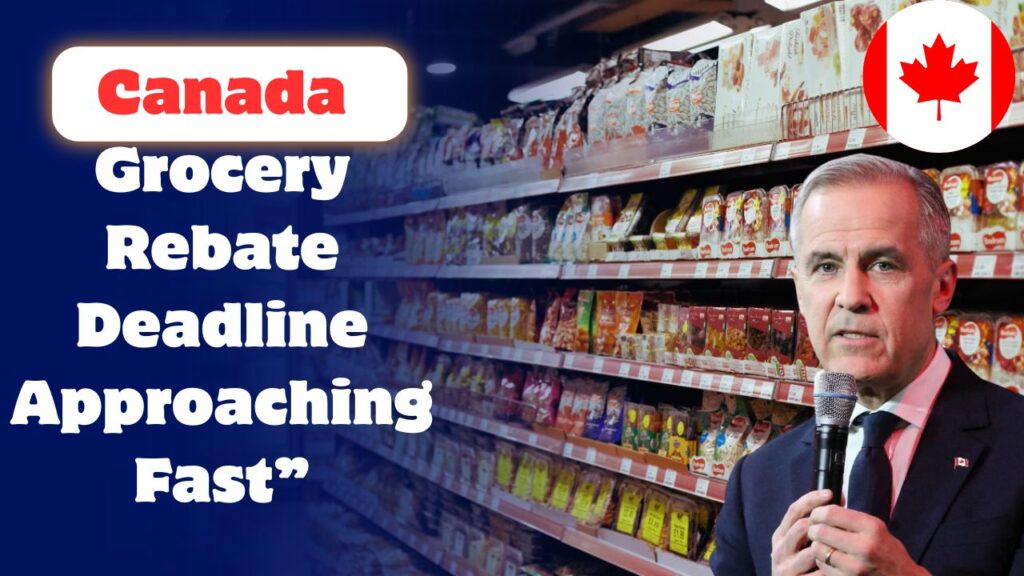 Canada Grocery Rebateg