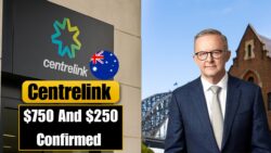 Centrelink $750 & $250 Payments 2025 — Full Eligibility List Out, Check If You’re Getting It