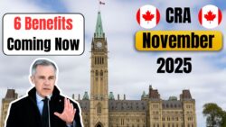 November 2025 CRA Payout Schedule – 6 Major Benefits Canadians Will Get This Month
